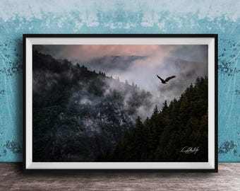 American Bald Eagle Wall Art: Soaring Over Alaska Wilderness