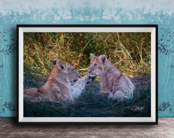 Lion Cub Print: Maasai Mara, African Safari Wall Art