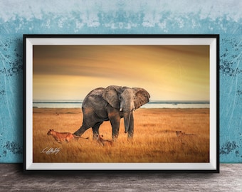 Kenya Wildlife Wall Art: Boho Elephant Battle - African Safari Decor