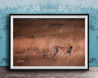 Maximalist Cheetah Art Print: Bright Boho Safari Wall Decor