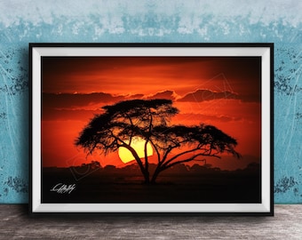 Savannah Elephant Print: African Wildlife Scene (Canvas or Framed)