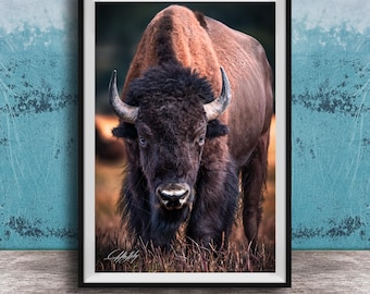 Bison Herd Canvas Print: Rustic Buffalo Wall Art in Earth Tones