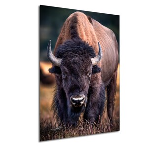 American Bison Canvas Print, Buffalo Wall Art, Bison Decor, Wildlife Painting, Rustic Home Office Wall Decor, Large Canvas