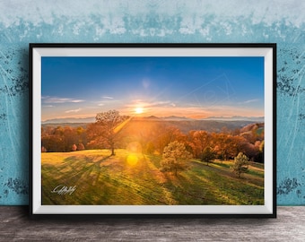 Biltmore Estate Sunset Print - Blue Ridge Mountains with Fall Tree