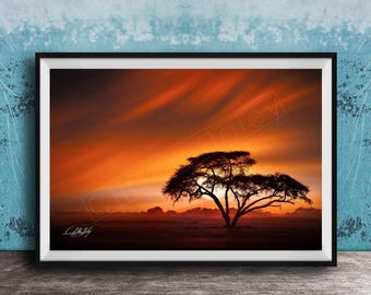 Kenya Wildlife Wall Art: Acacia Tree and Sunset