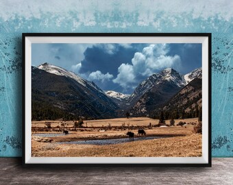 Moose Wall Art, Pine Trees, Snowy Landscape (Canvas or Metal Print)