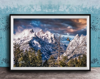 Hawk Flying Over Grand Teton: Wyoming Wildlife Art (Framed or Canvas)