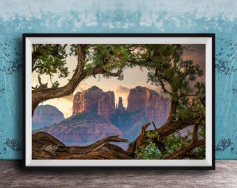 Cathedral Rock Print - Sedona Red Rocks at Sunrise