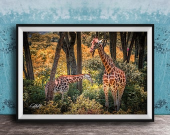Maximalist Giraffe Print - Bright Safari Animal Wall Decor