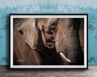 Elephant Art Print: Safari Wildlife Portraits (Framed or Canvas Options)