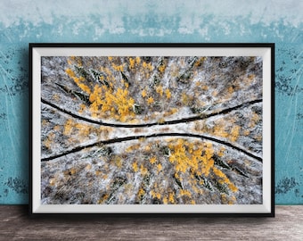 Aspens in Snow Wall Art: Golden Trees and Snowy Mountains - Rustic Cabin Decor