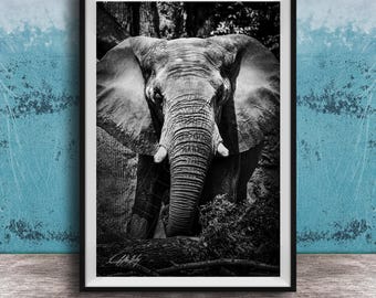Majestic African Elephant Print: Black and White Safari Art
