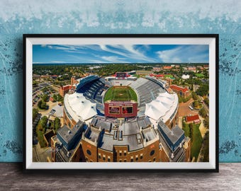 Doak Campbell Stadium Print: Florida State University Football Art