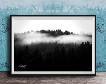 Misty Pine Tree Wall Art: Foggy Forest Landscape, Cottagecore Style