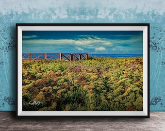 Caesarea By The Sea Print: Sunset Over Ancient Port Ruins