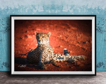 Boho Cheetah Art Print - Bright Safari Animal Wall Decor