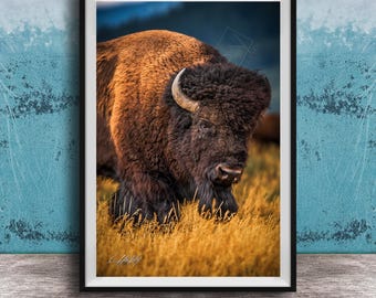 Buffalo Wall Decor: Western Wildlife Canvas (Large Rustic Print)