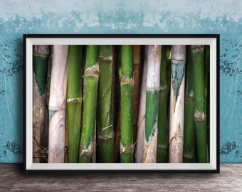 Tropical Bamboo Wall Art, Botanical Nature Print (Indonesia Landscape)