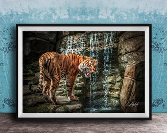 Tiger Wall Art Print: Sumatran Jungle Waterfall - Boho Tropical Decor