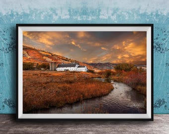 McPolin Farmstead Barn: Park City Wall Art - Autumn Aspen Trees