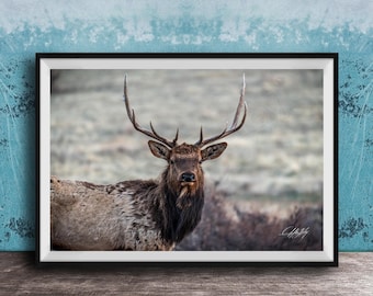 Western Elk Wall Art: Rustic Mountain Silhouette Print