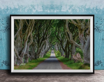 Dark Hedges, "King's Road", Stranocum, Northern Ireland, "The North Remembers" GoT