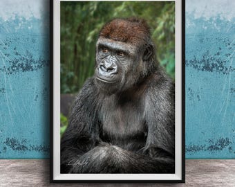 Young Gorilla Portrait Print: African Jungle Scene