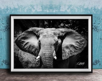 Sumatran Elephant Fine Art Print, Black & White (Made to Order)
