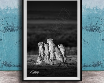 Maasai Safari Cheetah Wall Art (Black and White Print)