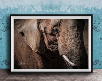 Sumatran Elephant Wall Art: Textured Wildlife Photography Print
