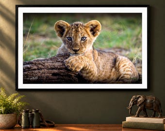 Wildlife