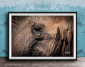 Safari Elephant Wall Art: African & Asian Wildlife Landscape