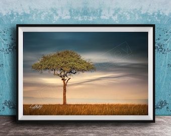 Umbrella Thorn Acacia Print: Kenyan Savannah Landscape