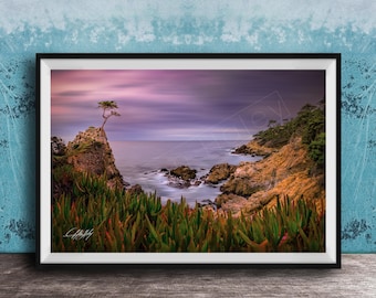 Lone Cypress Tree Photo: Pacific Coast Sunrise (Golf Course Decor)