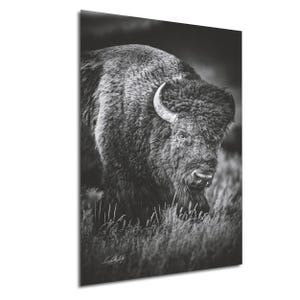 American Bison Canvas Print, Buffalo Wall Decor, Black White Art, Large Rustic Home Office, Original Wildlife Painting