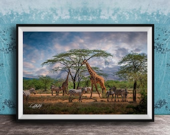 Giraffe and Zebra Scene, Maximalist Safari Wall Art, Colorful Boho