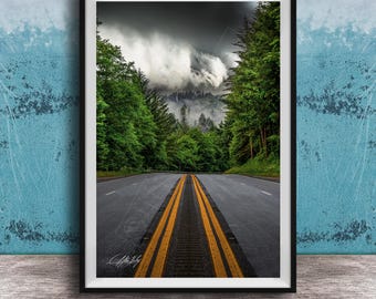 Redwood Forest Wall Art: Foggy Morning Road - Panoramic Canvas