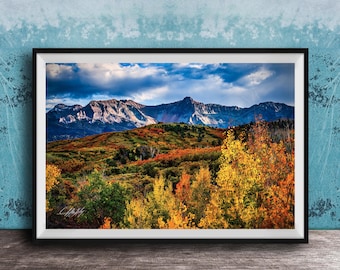 Aspen Trees Wall Art: Colorado Mountains, Fall Colors Canvas