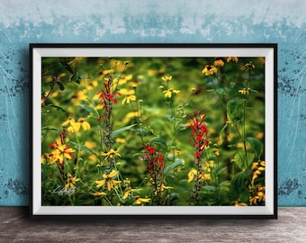 Cades Cove Flower Photo, Wildflower Field (Rustic Wall Decor)