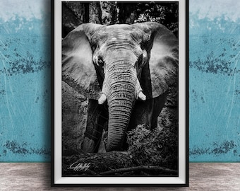 Elephant Wildlife Art: Safari Scene (African & Asian Elephants)