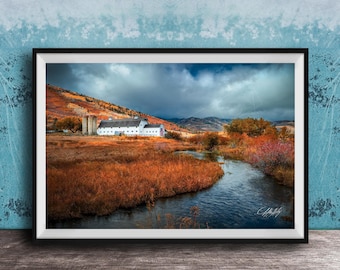 McPolin Farmstead Barn: Park City Wall Art - Autumn Aspen Trees