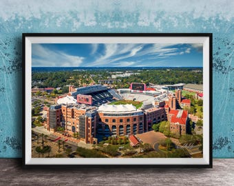 Doak Campbell Stadium Wall Art: Florida State Football - Special Edition