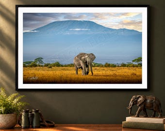 Africa