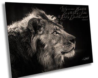 Regal Lion Family Canvas: Black and White Wildlife Wall Art