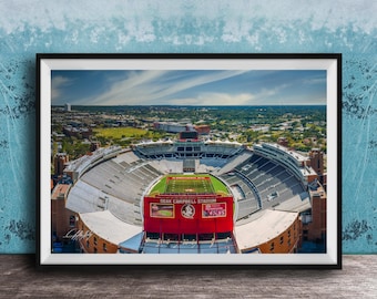 FSU Stadium Wall Art: Doak Campbell Photo - Cardinal and Gold