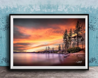 Lake Tahoe Nature Print: Sunset Pines Scene (Signed Artist Art)