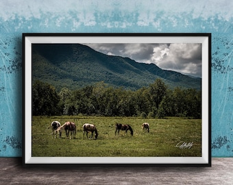 Cades Cove Wild Horses Print, Green Mountain Landscape (East Tennessee Art)