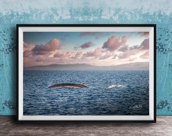 Fin Whale Print: Golden Hour Ocean View - Coastal Wall Decor