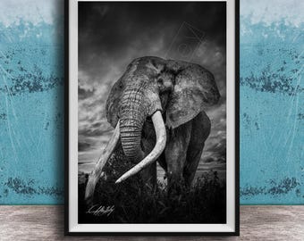 Elephant Wall Art: Big Tusker Kenya Safari - Canvas or Framed