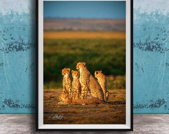 Safari Cheetah Art Print, Maasai Mara Wildlife (Black & White)